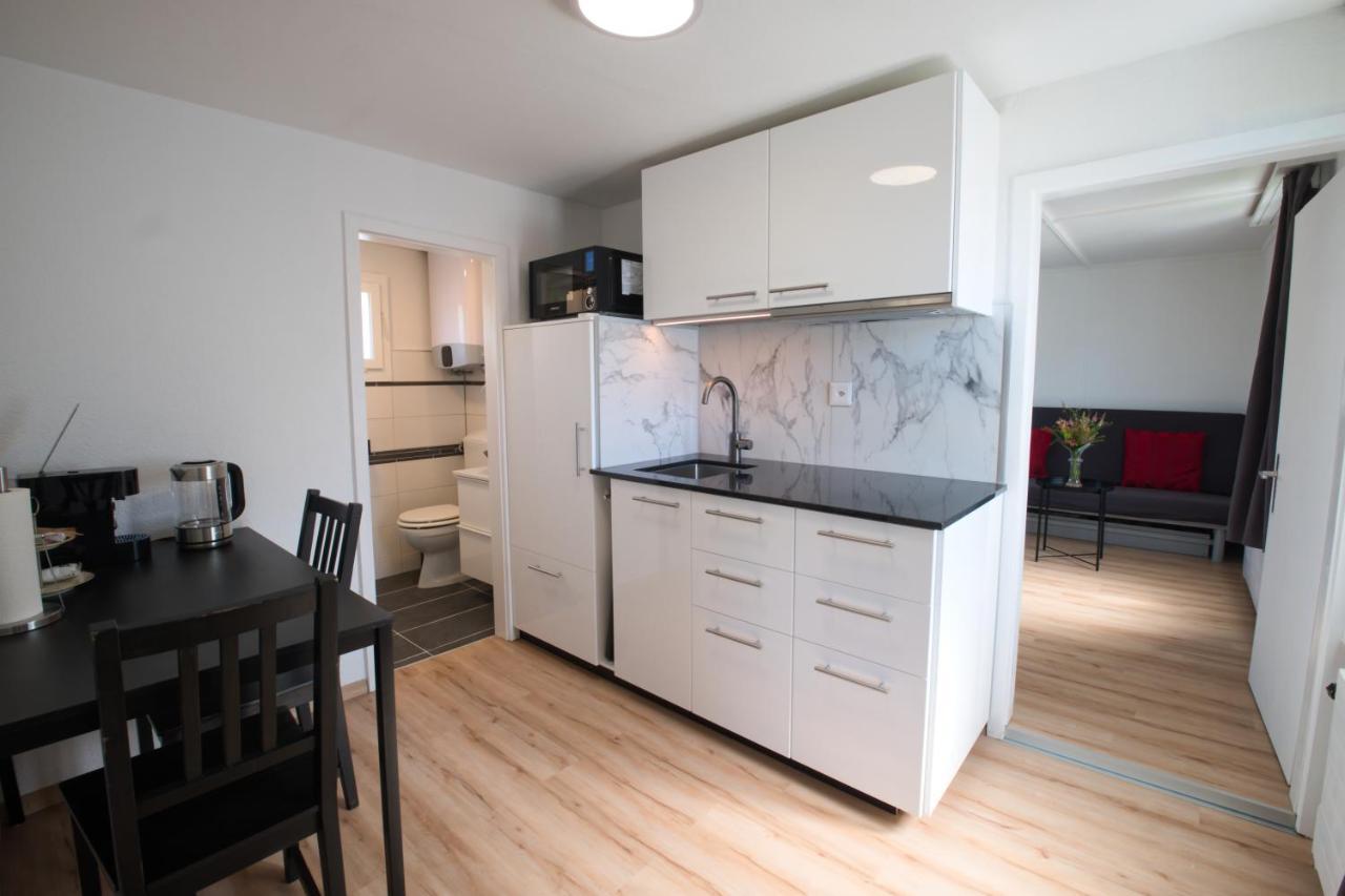 Lake Getaway Apartment With Private Entrance, Right On The Lake Constance Cycle Path, Barbecue Area, Free Wifi, Netflix And Free Bikes Salmsach Kültér fotó