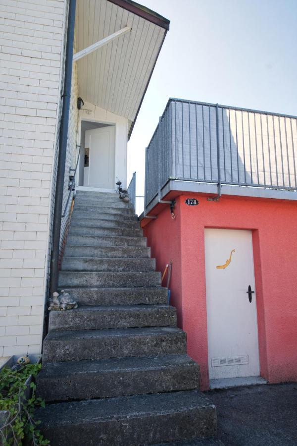 Lake Getaway Apartment With Private Entrance, Right On The Lake Constance Cycle Path, Barbecue Area, Free Wifi, Netflix And Free Bikes Salmsach Kültér fotó