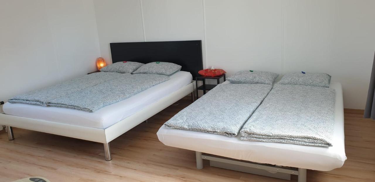 Lake Getaway Apartment With Private Entrance, Right On The Lake Constance Cycle Path, Barbecue Area, Free Wifi, Netflix And Free Bikes Salmsach Kültér fotó